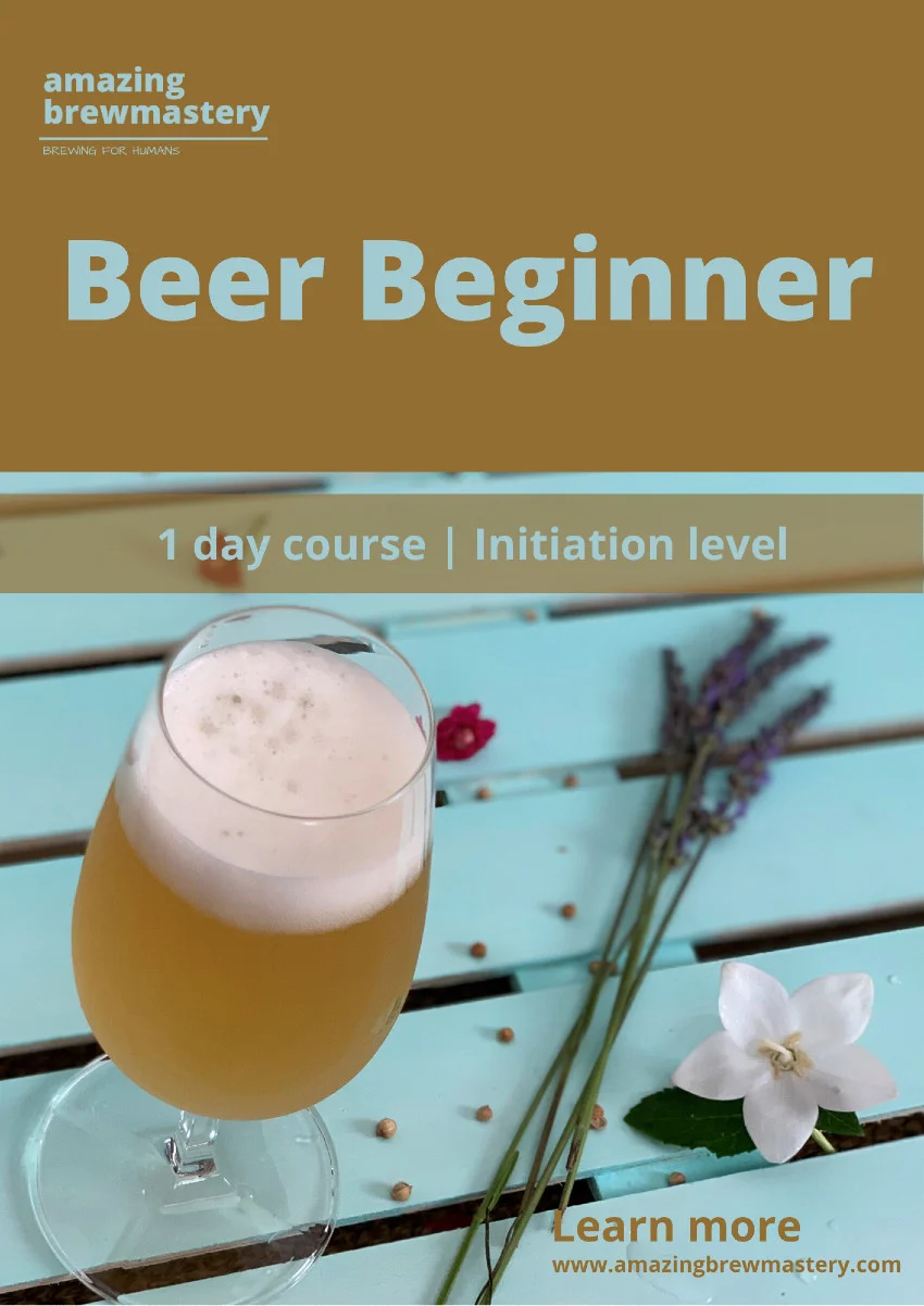 Beer Begginer Course