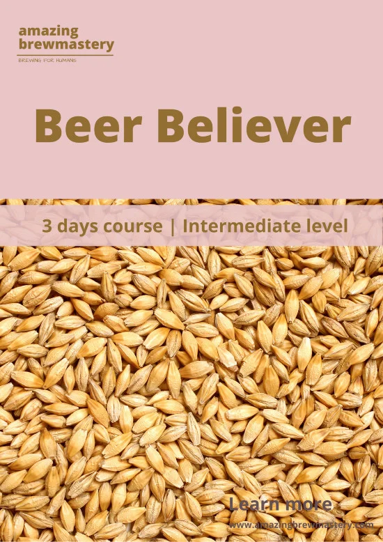 Beer Believer Course